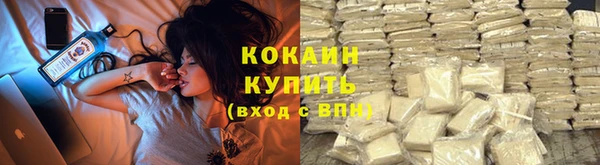 шишки Беломорск