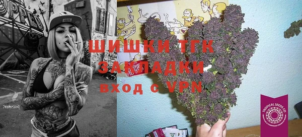 шишки Беломорск