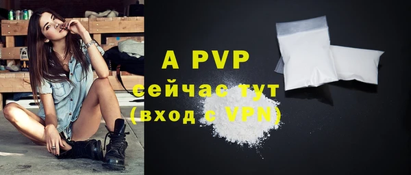 молекула духа Белоозёрский