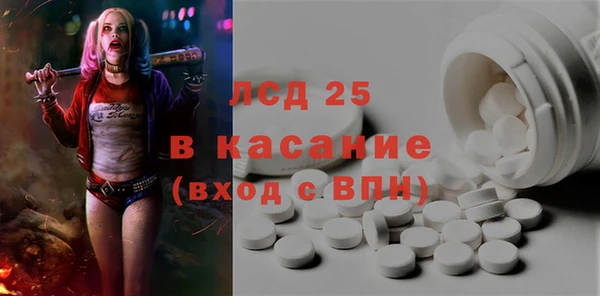 шишки Беломорск