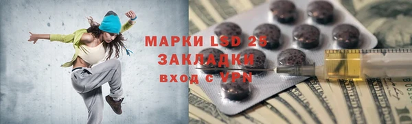 шишки Беломорск
