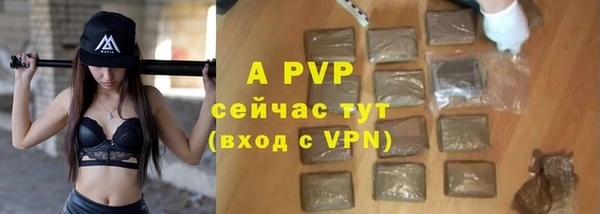 молекула духа Белоозёрский