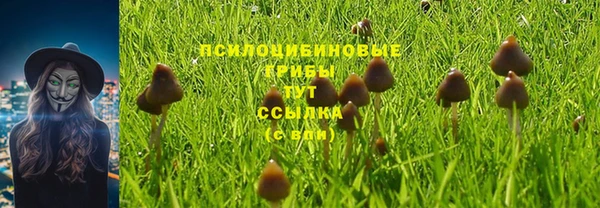 молекула духа Белоозёрский
