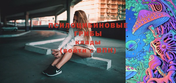 шишки Беломорск
