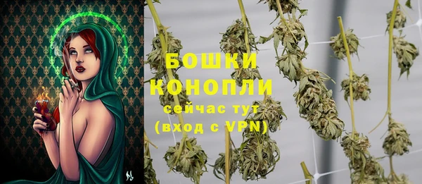 молекула духа Белоозёрский