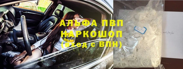молекула духа Белоозёрский