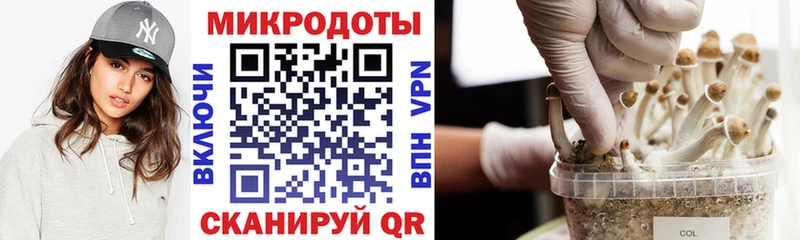 Псилоцибиновые грибы GOLDEN TEACHER  Купить закладки  Волгореченск 